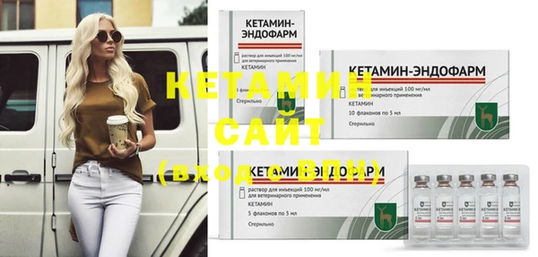 индика Мегион