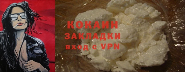 прущие грибы Михайловка