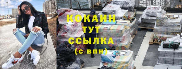 индика Мегион