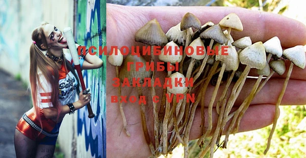 таблы Михайловск