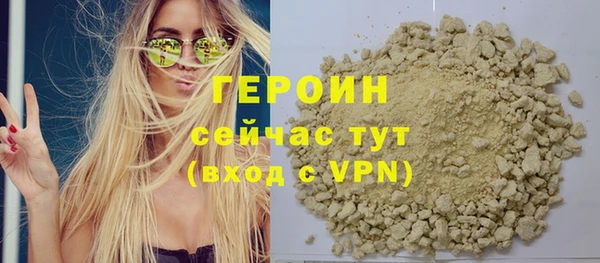 индика Мегион