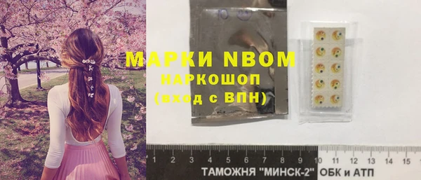 прущие грибы Михайловка
