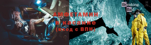 индика Мегион