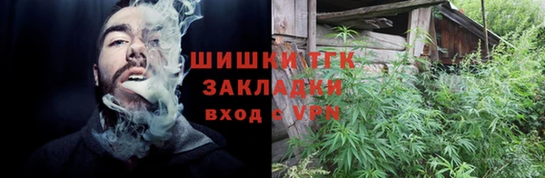 индика Мегион
