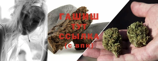 индика Мегион