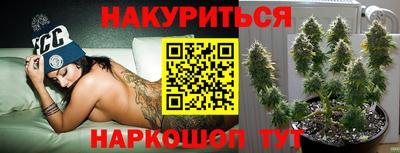 PSILOCYBIN Будённовск