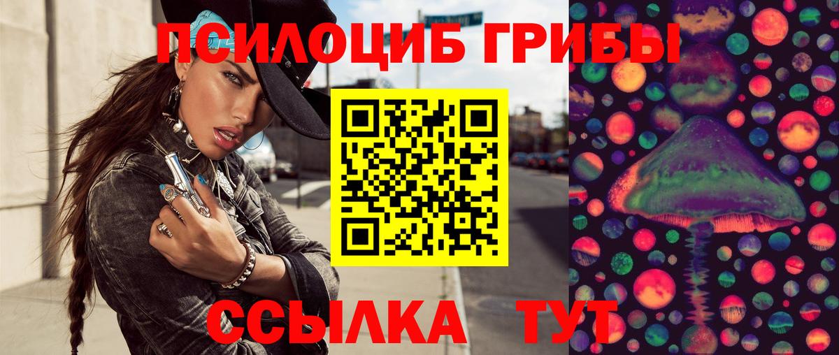 Нижнеудинск  Галлюциногенные грибы мицелий  Вход с VPN 