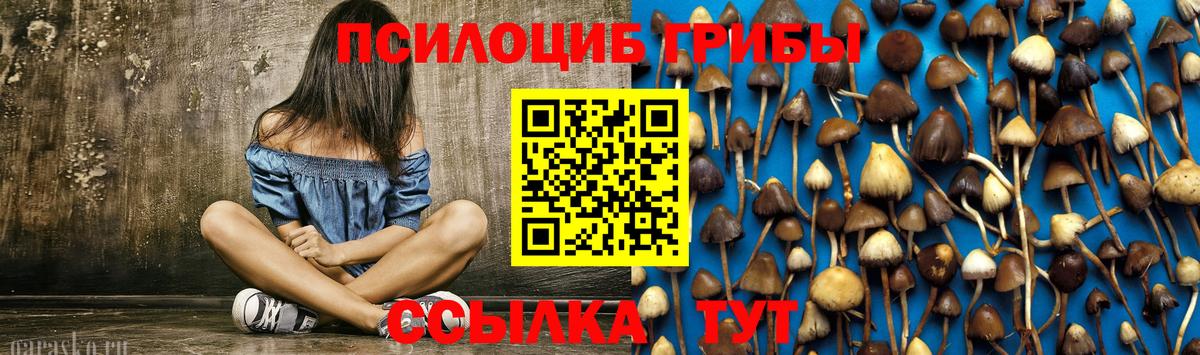 Псилоцибиновые грибы GOLDEN TEACHER Нижнеудинск